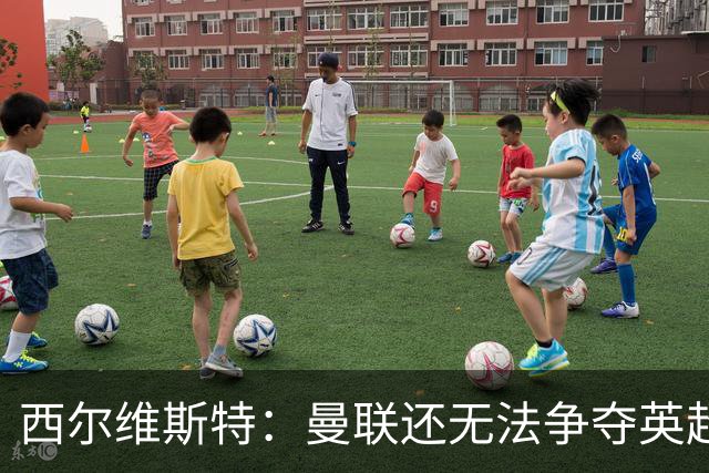 西尔维斯特：曼联还无法争夺英超冠军，必须为卡里克打造相应阵容